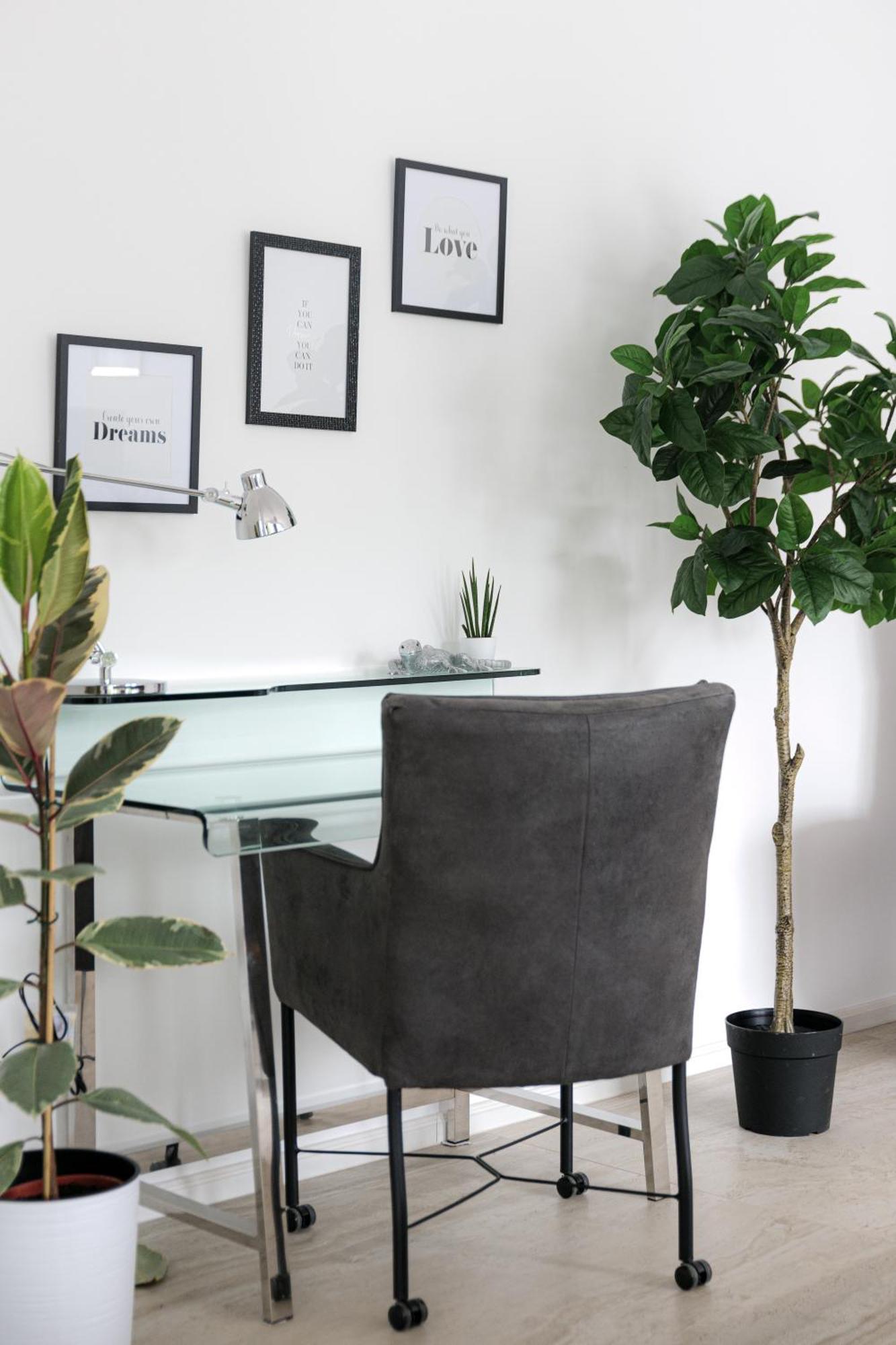 Lulex IV - Traumwohnung Terasse Garten In Neuss Ngoại thất bức ảnh